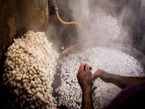 اختصاص اعتبار برای 2 طرح میراث فرهنگی و صنایع دستی روستای بسک