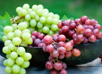 خوردن 10 نوع میوه ای که در تابستان توصیه می گردد