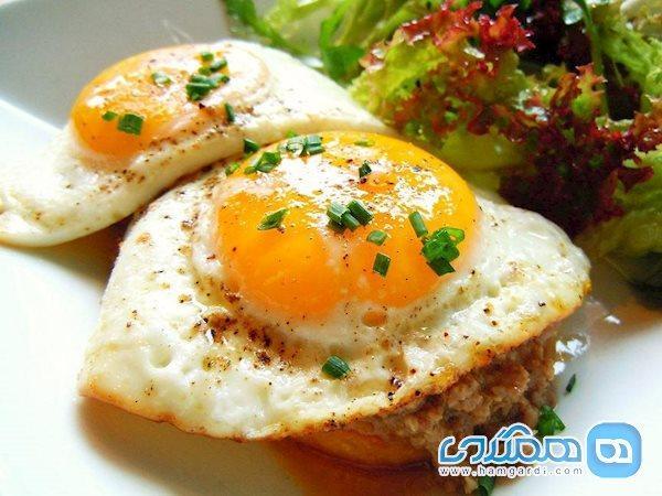 وقتی تخم مرغ تحمل ناپذیر می گردد!