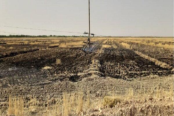 آتش زدن مزارع شبکه برق شوشتر را مختل کرد آتش زدن مزارع شبکه برق شوشتر را مختل کرد