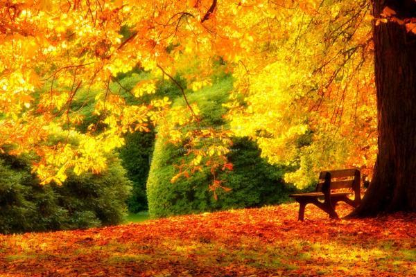 15 آبان یادآور جشن شروع سرما در ایران باستان است