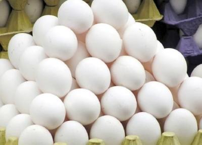 قیمت تخم مرغ واقعی نیست؛ هر کیلو 48 تا 50 هزار تومان تمام می گردد